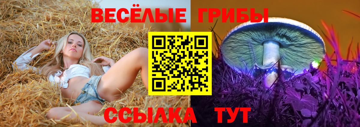 где продают   Вход с VPN  Сыктывкар  Галлюциногенные грибы Psilocybe 