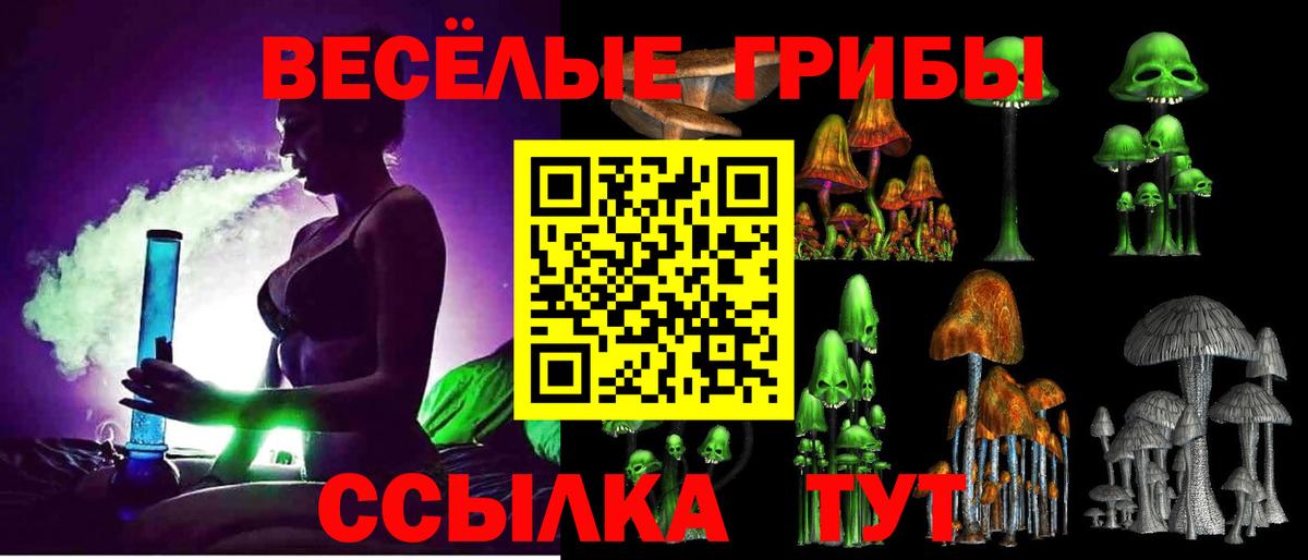 Галлюциногенные грибы GOLDEN TEACHER  Сыктывкар  Псилоцибиновые грибы прущие грибы 